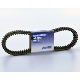 Courroie de transmission Polini 248.131 | Oxmoto