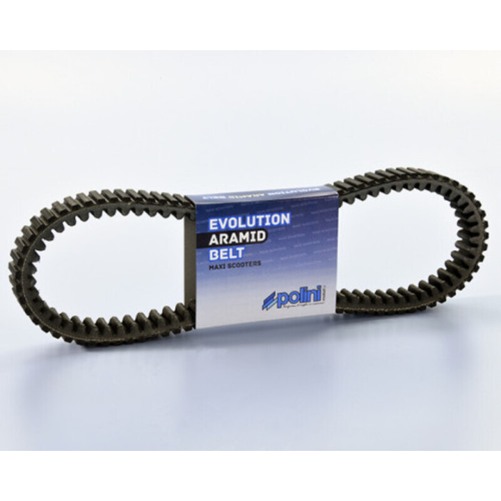 Courroie de transmission Polini 248.131 | Oxmoto