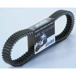 Courroie de transmission Polini Kevlar renforcée 248.044