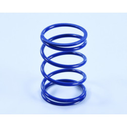 Ressort d'embrayage Polini 243.113 | Oxmoto
