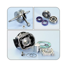 Kit de cylindre spécial Polini 109.0018.1 | Oxmoto