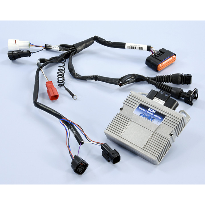 Boîtier ECU Polini 171.0017 | Oxmoto