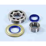 Kit roulements et joints spi de vilebrequin Polini | Oxmoto
