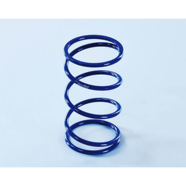 Ressorts d'embrayage Polini | Oxmoto