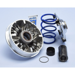 Variateur Polini Hi-Speed 12 galets - Honda SH 350 | Oxmoto