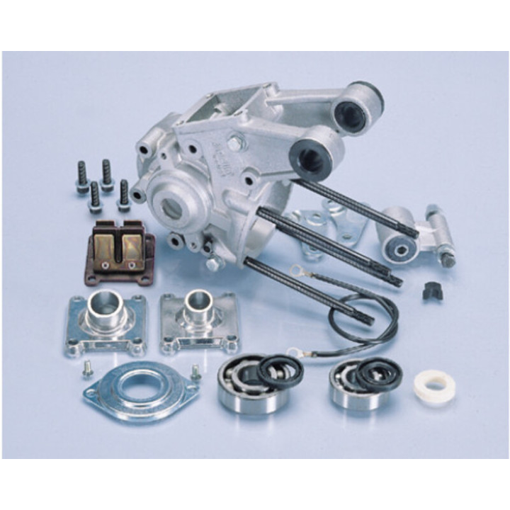 Carter moteur Polini avec support complet | Oxmoto