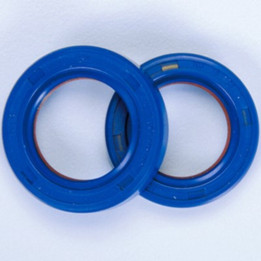 Polini PTFE/FKM Crankshaft Oil Seals | Oxmoto