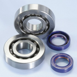 Polini Crankshaft Bearing Kit | Oxmoto