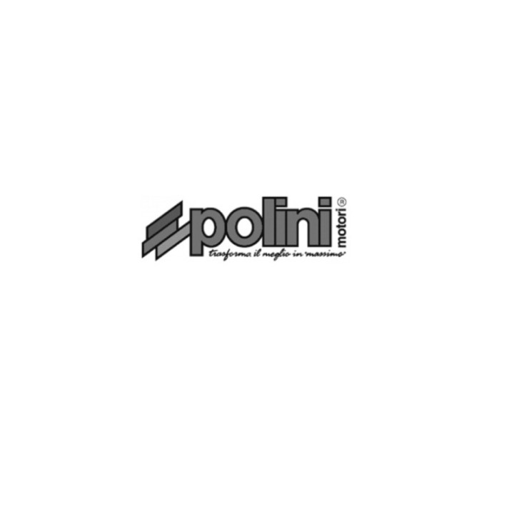 Segments de piston 46x1.5 Polini | Oxmoto