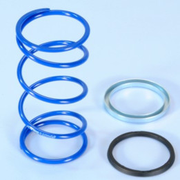 Spring Polini EVO Slider D.3,8 Minarelli 243.104 | Oxmoto