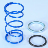 Spring Polini EVO Slider D.3,8 Minarelli 243.104 | Oxmoto