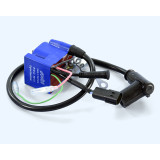 Bobine d'allumage programmable Polini PVL Stator | Oxmoto