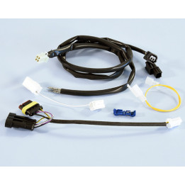 Connecteur/faisceau de câbles Polini | Oxmoto
