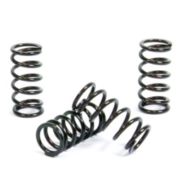 Kit ressorts d'embrayage PROX 17.CS12010 | Oxmoto