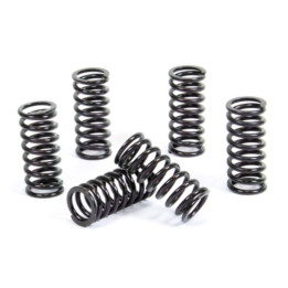 Kit ressorts d'embrayage PROX 17.CS64042 | Oxmoto