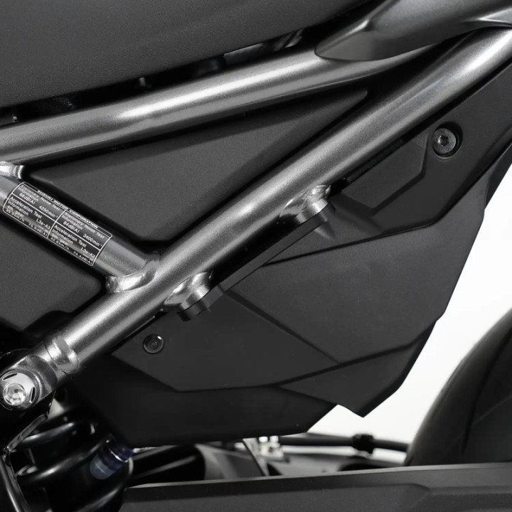 Cache orifices de repose-pieds arrière R&G RACING BLP0135BK