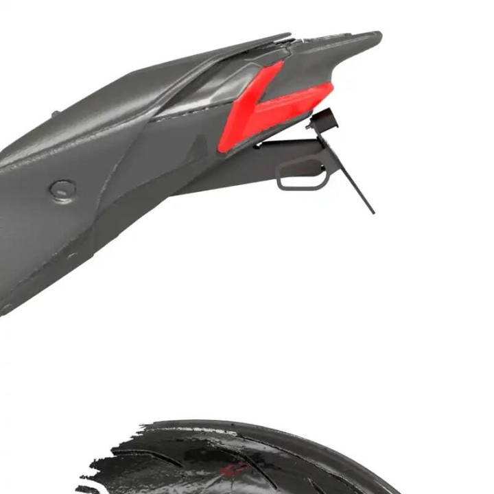 Support de plaque R&G RACING - noir LP0395BK | Oxmoto