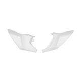 Plaques latérales Racetech R-FIHSQBN0885 | Oxmoto