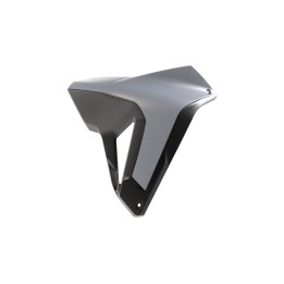 Ouïes de radiateur Racetech R-CVALPGRNR24 | Oxmoto