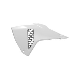 Ouïes de radiateur Racetech Revolution R-CVCRFBNNR26