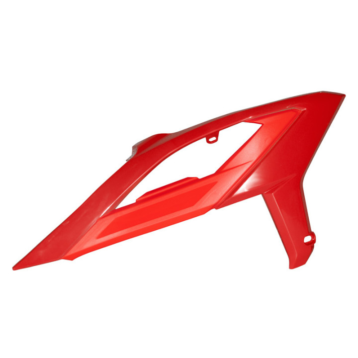 Ouïes de radiateur Racetech avec support R-CVBETRS0023