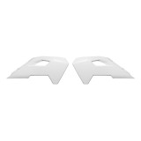 Ouïes de radiateur Racetech R-CVHSQBN0165 | Oxmoto