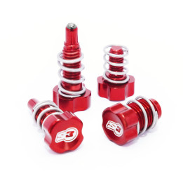 Vis de réglage leviers S3 rouge Braktec/AJP | Oxmoto
