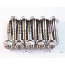 Kit vis titane Scar M6x12 par | Oxmoto