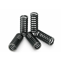 Kit ressorts d'embrayage Tecnium boîte de 6 Honda CR250R 18440