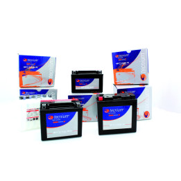 Batterie Tecnium conventionnelle avec pack acide - 51913