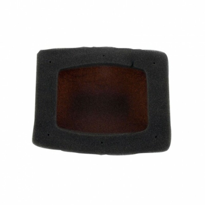 Kit filtre à air + cage intérieure TWIN AIR - 157033C
