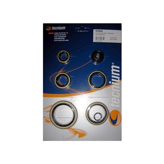 Kit joints spis bas moteur Tecnium KTM exc250 1016048