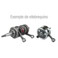 Vilebrequin complet hot rods Suzuki rm-z250 1006854 | Oxmoto