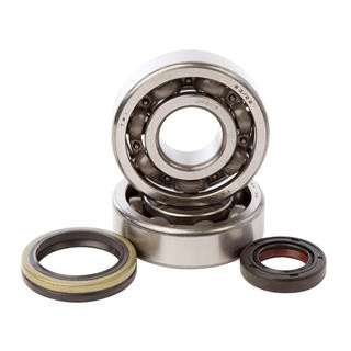 Kit roulements + spis de vilebrequin hot rods rm125 1006885