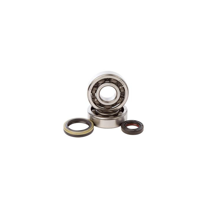 Kit roulements + spis de vilebrequin hot rods rm125 1006885