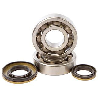 Kit roulements + spis de vilebrequin hot rods rm250 1006887