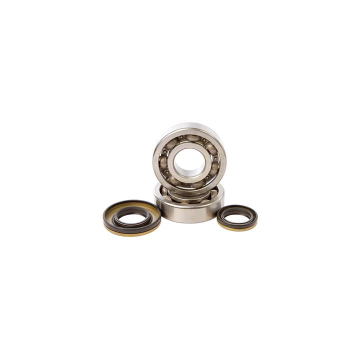 Kit roulements + spis de vilebrequin hot rods rm250 1006887