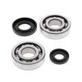 Kit roulements de vilebrequin all balls Yamaha yz250 1008852