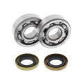 Kit roulements de vilebrequin all balls Husqvarna cr65