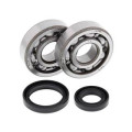 Kit roulements de vilebrequin all balls Suzuki rm85/80