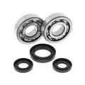 Kit roulements de vilebrequin all balls Yamaha yz250 1008851