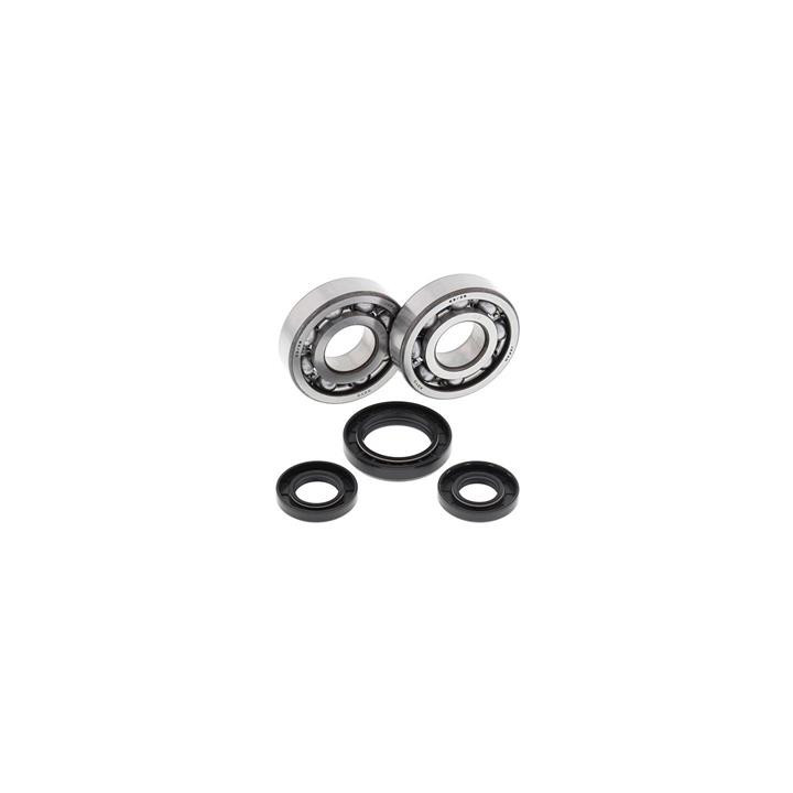 Kit roulements de vilebrequin all balls Yamaha yz250 1008851