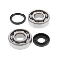 Kit roulements de vilebrequin all balls Husqvarna wr125