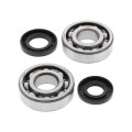 Kit roulements de vilebrequin all balls Kawasaki kx250 1008843