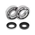 Kit roulements de vilebrequin all balls Husqvarna wr360