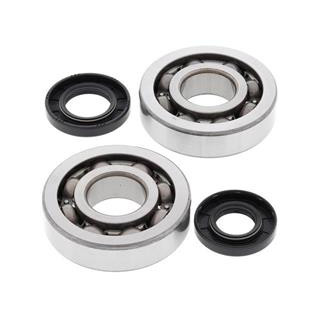 Kit roulements de vilebrequin all balls Kawasaki kx250 1008863