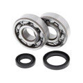 Kit roulements de vilebrequin all balls Suzuki rm125