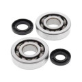 Kit roulements de vilebrequin all balls Kawasaki kx250 1008863