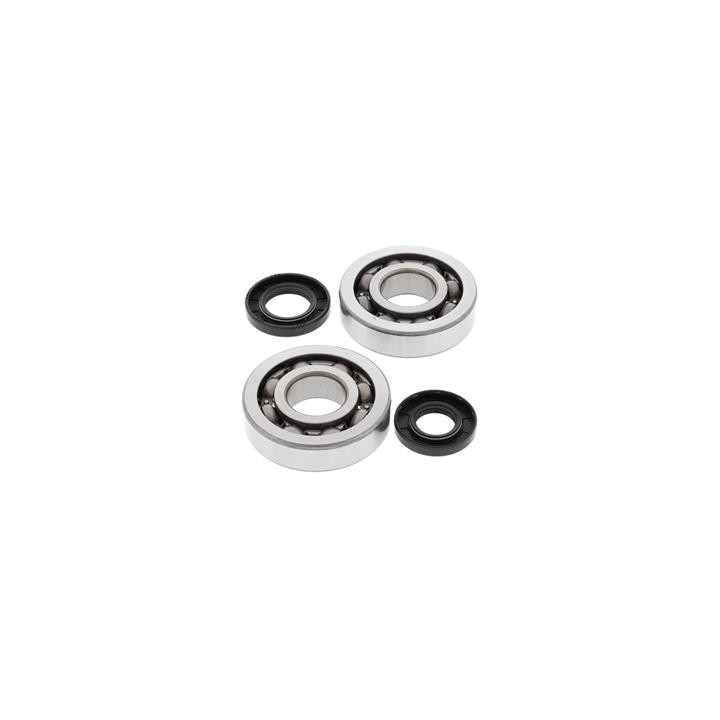 Kit roulements de vilebrequin all balls Kawasaki kx250 1008863