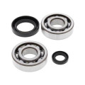 Kit roulements de vilebrequin all balls Honda cr500r
